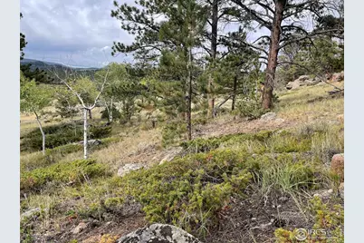 123 Tahlequah Way, Red Feather Lakes, CO 80545 - Photo 39