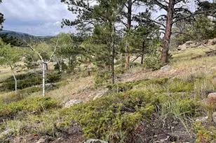 123 Tahlequah Way, Red Feather Lakes, CO 80545 - Photo 39