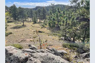 123 Tahlequah Way, Red Feather Lakes, CO 80545 - Photo 37