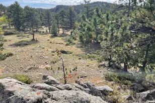 123 Tahlequah Way, Red Feather Lakes, CO 80545 - Photo 37