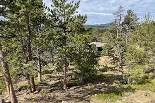 123 Tahlequah Way, Red Feather Lakes, CO 80545 - Photo 39