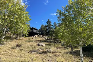 123 Tahlequah Way, Red Feather Lakes, CO 80545 - Photo 11