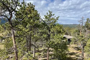 123 Tahlequah Way, Red Feather Lakes, CO 80545 - Photo 33
