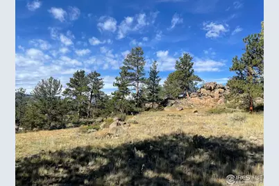123 Tahlequah Way, Red Feather Lakes, CO 80545 - Photo 29