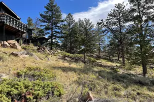 123 Tahlequah Way, Red Feather Lakes, CO 80545 - Photo 9