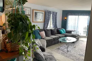 123 Tahlequah Way, Red Feather Lakes, CO 80545 - Photo 7