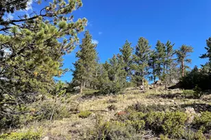 123 Tahlequah Way, Red Feather Lakes, CO 80545 - Photo 37