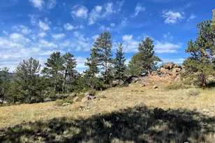 123 Tahlequah Way, Red Feather Lakes, CO 80545 - Photo 35
