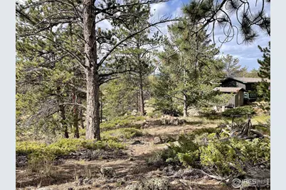 123 Tahlequah Way, Red Feather Lakes, CO 80545 - Photo 41