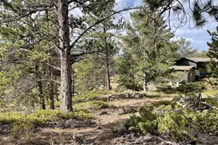 123 Tahlequah Way, Red Feather Lakes, CO 80545 - Photo 41