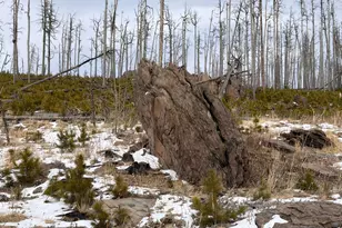 28 Agate Ct, Bellvue, CO 80512 - Photo 1