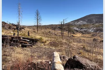 28 Agate Ct, Bellvue, CO 80512 - Photo 13