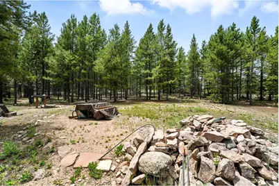 754 Mescalero Dr, Red Feather Lakes, CO 80545 - Photo 5