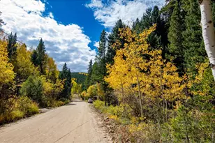 3727 Gamble Gulch Rd, Black Hawk, CO 80422 - Photo 5