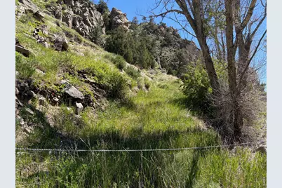32370 Poudre Canyon Rd, Bellvue, CO 80512 - Photo 7
