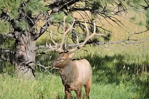 2074 Foothills Dr S, Golden, CO 80401 - Photo 49