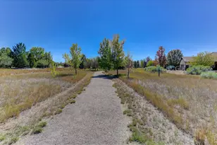 8652 Portico Ln, Longmont, CO 80503 - Photo 43