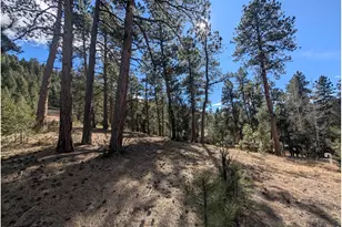 7000 - 7022 Blue Creek Rd, Evergreen, CO 80439 - Photo 1