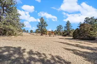 151 Mt Massive Dr, Livermore, CO 80536 - Photo 39