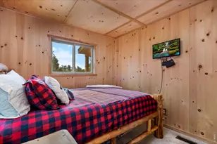 151 Mt Massive Dr, Livermore, CO 80536 - Photo 21