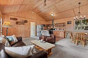 151 Mt Massive Dr, Livermore, CO 80536 - Photo 9