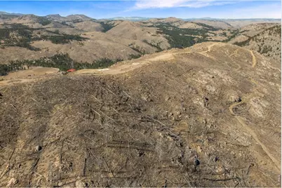 1390 Walking Wind Dr, Bellvue, CO 80512 - Photo 7