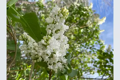 1840 Lyonesse St, Lafayette, CO 80026 - Photo 27