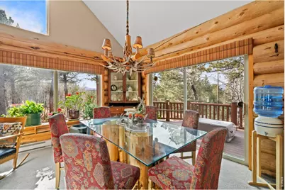 365 Overland Dr, Ward, CO 80481 - Photo 11