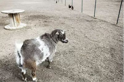 14804 County Road 7, Mead, CO 80542 - Photo 35