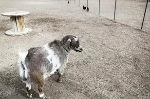 14804 Co Rd 7, Mead, CO 80542 - Photo 35