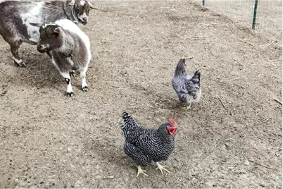 14804 County Road 7, Mead, CO 80542 - Photo 39