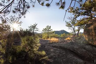 1893 Colard Ln, Lyons, CO 80540 - Photo 49