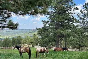 1893 Colard Ln, Lyons, CO 80540 - Photo 45