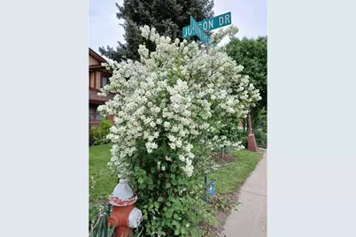 1640 Juniper St, Longmont, CO 80501 - Photo 29