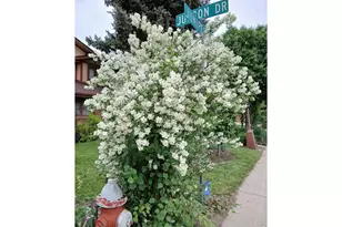 1640 Juniper St, Longmont, CO 80501 - Photo 29