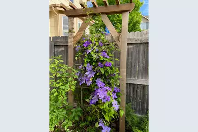 2757 Sternwheeler Dr, Fort Collins, CO 80524 - Photo 39