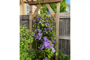 2757 Sternwheeler Dr, Fort Collins, CO 80524 - Photo 39