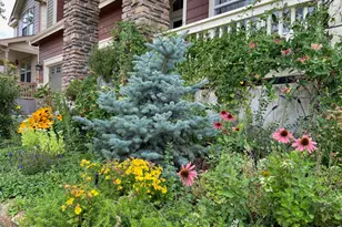 2757 Sternwheeler Dr, Fort Collins, CO 80524 - Photo 41