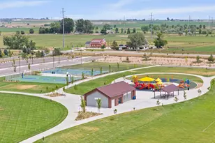 6902 White Snow Ct, Timnath, CO 80547 - Photo 49