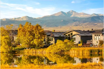 6902 White Snow Ct, Timnath, CO 80547 - Photo 39