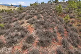 1114 & 1115 Vision Way, Lyons, CO 80540 - Photo 9