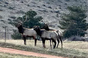 1114 & 1115 Vision Way, Lyons, CO 80540 - Photo 15