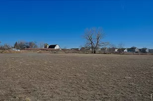 1500 S County Rd 21, Loveland, CO 80537 - Photo 31