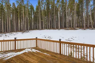 246 Panamint Way, Red Feather Lakes, CO 80545 - Photo 19
