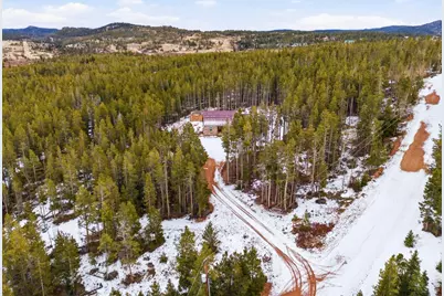 246 Panamint Way, Red Feather Lakes, CO 80545 - Photo 37