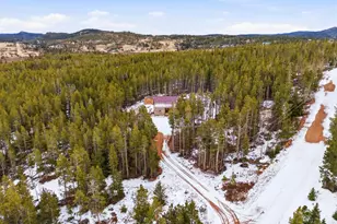 246 Panamint Way, Red Feather Lakes, CO 80545 - Photo 37