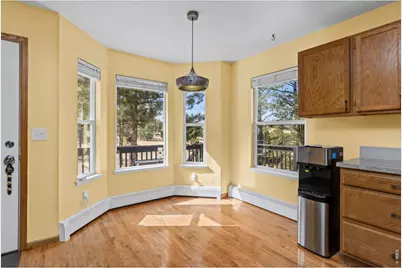 419 Ute Peak Dr, Livermore, CO 80536 - Photo 5