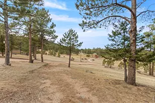 419 Ute Peak Dr, Livermore, CO 80536 - Photo 37