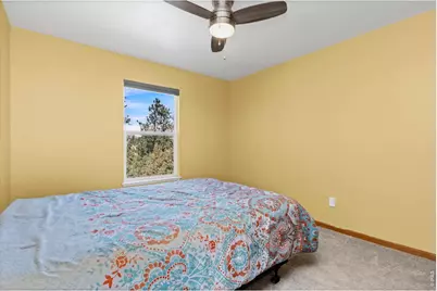 419 Ute Peak Dr, Livermore, CO 80536 - Photo 17