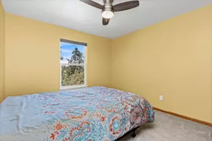 419 Ute Peak Dr, Livermore, CO 80536 - Photo 17